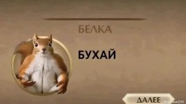 IMG_3471.jpeg